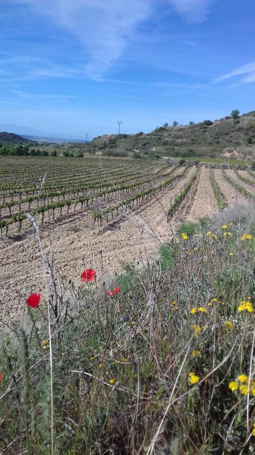Casa Amparo Bed and Breakfast San Martín de Unx Εξωτερικό φωτογραφία